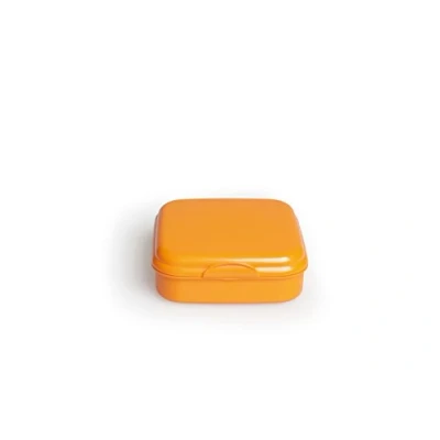 Immagine di Excelsa Take Away Contenitore Porta Panino, Polipropilene, Arancio, 15x15x5 cm