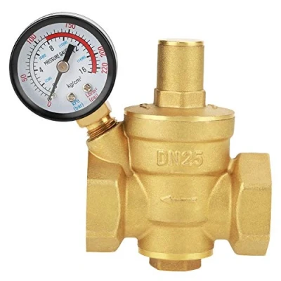 Immagine di FTVOGUE DN25 Valvola di riduzione della pressione Regolatore Acqua Riduttore+Misuratore Calibro