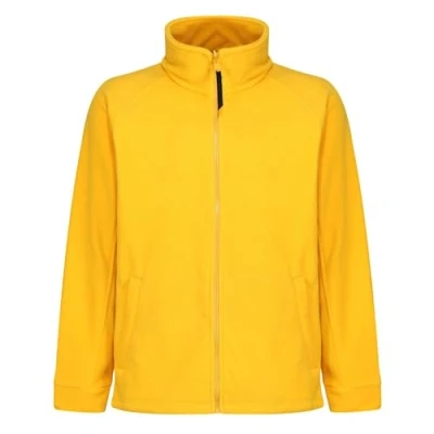 Immagine di Regatta Pile Thor Ii Con Cerniera Compatibile 3 In 1 Fleece, Uomo, Glowlight, 4XL