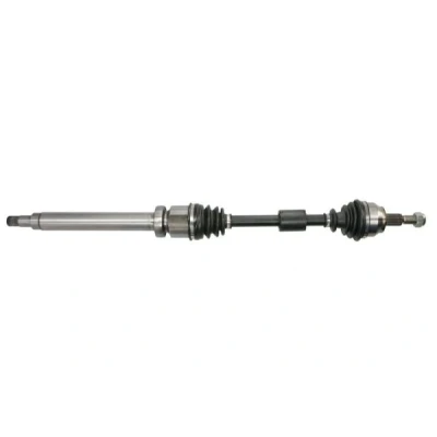 Immagine di Albero motore/Semiasse PASCAL G2G079PC