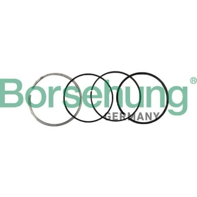 Immagine di Kit fasce elastiche Borsehung B10370