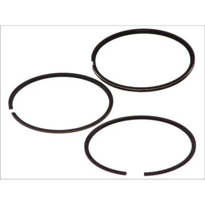 Immagine di GOETZE ENGINE 08 123700 00 Kit Fasce Elastiche 93,67