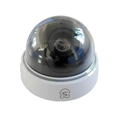 Immagine di Setik Telecamera di sicurezza Finta sorveglianza dome esterno IR LED DMDUMMY