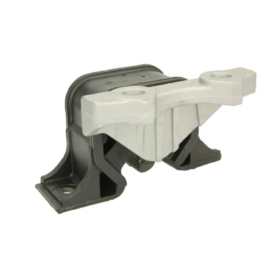 Immagine di REINHOCH RH11 5061 Supporto motore Dx OPEL: Meriva A, Corsa C Hatchback, Combo Tour