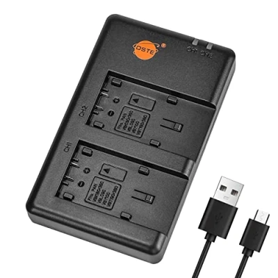 Immagine di DSTE Fast Charging USB Dual Batteria Caricatore Compatibile per Panasonic VW VBK180,VW VBK360,VW VBL090,VW VBY100,VW VBT190,VW VBT380,HC V10,HC V100,HC V100M,HC V520MGK,HC V720GK,HC W850M,HC W858