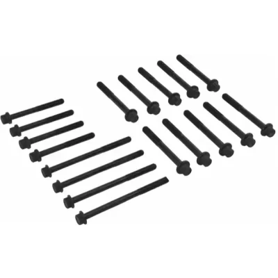 Immagine di REINZ 14 32370 01 Kit Bulloni Testata Multidentata esterna