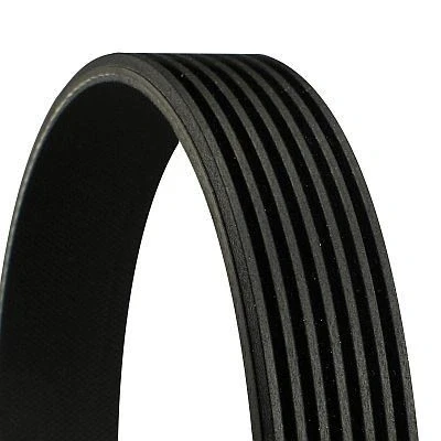 Immagine di CONTITECH 7PK1350 Cinghia Poly V 1350 7