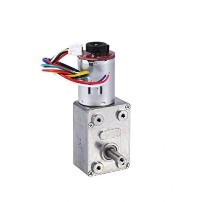 Immagine di Motoriduttore a vite senza fine turbina DC 12V ad alta coppia, con encoder forte autobloccan(10RPM)