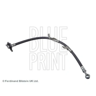 Immagine di BLUE PRINT ADG053136 Tubi Freno Assale anteriore Dx, Dx