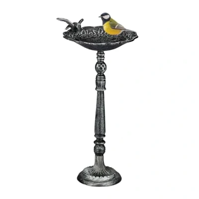 Immagine di Relaxdays Abbeveratoio per Uccellini da Terra, Vaschetta in Ghisa Giardino, Resistente alle Intemperie, Argento Nero, 40 x 18 20 cm
