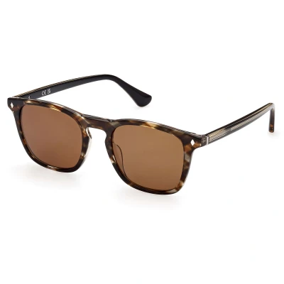 Immagine di Lunettes De Soleil Web We0327 Col. 50e Hommes Carré Marron Foncé
