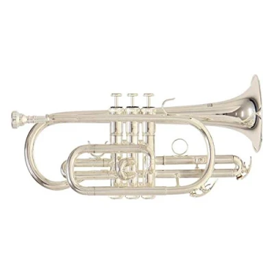 Immagine di Roy Benson Bb Cornet CR 202S (strumento in ottone leggero di alta qualità, per uso professionale, con custodia rettangolare e set zaini), laccato