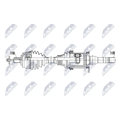 Immagine di Albero motore/Semiasse NTY NPW DW 071