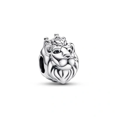 Immagine di Pandora Moments Braccialetto con pendenti Argento 792199C01