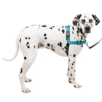 Immagine di PetSafe EWH D HC L OCN Imbracatura Deluxe Easy Walk, Grande, Colore: Oceano/Nero, Nylon