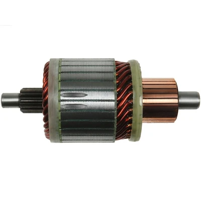 Immagine di AS PL SA9003 Ancorina, Starter