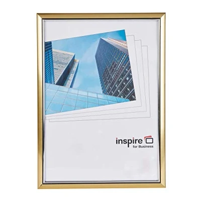 Immagine di Hampton Frames EASA3GDP Cornice portafoto per poster, certificati, in acrilico (non vetro) oro, formato A3 (30 x 42 cm)