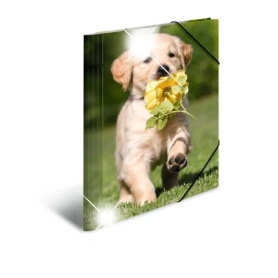 Immagine di HERMA 19327 Cartellina portadocumenti A4 con animali e cani, 3 pezzi, in plastica effetto lucido, stampa interna ed elastico, per ragazzi ragazze