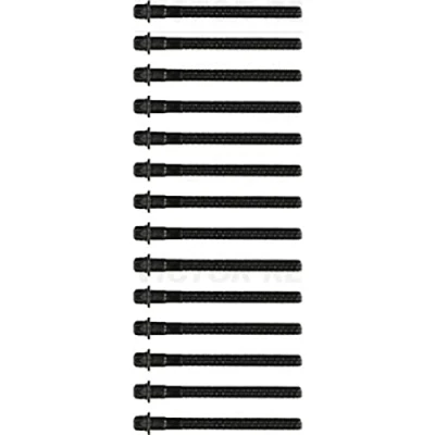 Immagine di REINZ 14 32101 01 Kit Bulloni Testata Torx esterno BMW: X5, 5 Sedan, 3 Coupe