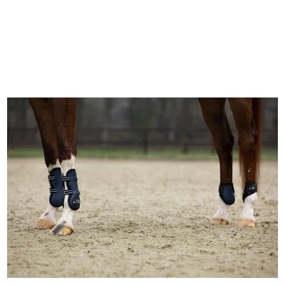 Immagine di BR fetlock boots XO2