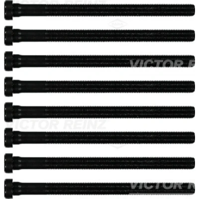 Immagine di REINZ 14 32196 01 Kit Bulloni Testata Poligonale incassata AUDI: A4 B6 Avant, Q5, B7 PORSCHE: Cayenne, VOLKSWAGEN: Passat B5 GP Variant