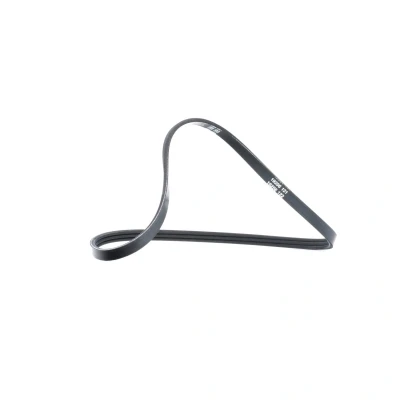 Immagine di DAYCO 3PK740 Cinghia Poly V 740,0 3 RENAULT: CLIO 2, Kangoo I, I Express, DACIA: Sandero
