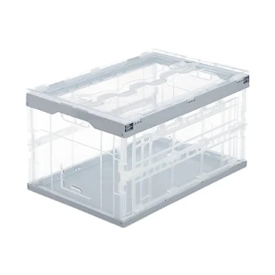 Immagine di Relaxdays Cassetta Pieghevole, Stabile, da Lavoro, Plastica Resistente, 60L, HLP 31,5x59,5x39,5 cm, Grigio