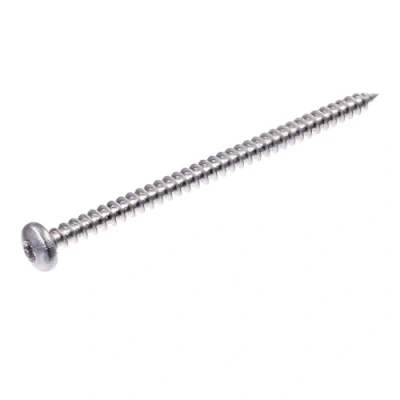 Immagine di SECCARO viti per truciolato testa semicircolare 6 x 100 mm, in acciaio inox V2A VA A2, legno con filettatura completa, TX/esagono incassato, 75 pezzi