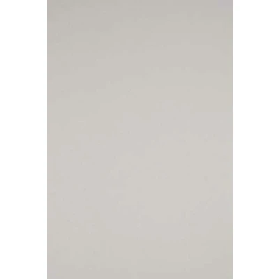 Immagine di Netuno 20x carta colorata grigio formato A4 210 x 297 mm 170g Sirio Color Perla cartoncini colorati per stampante fai da te bigliettini inviti partecipazioni Natale matrimonio compleanno