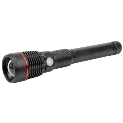 Immagine di PNI ADVF450 Torcia