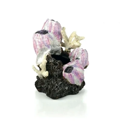Immagine di biOrb Samuel Baker Ornamento Rosa Barnacle Cluster, Piccolo