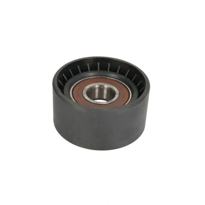 Immagine di BTA B05 02 039 Rullo Tendicinghia