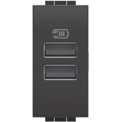 Immagine di Bticino L4191AA Caricatore USB con due ingressi di tipo A, da installare nella placca Livinglight,per ricaricare un dispositivo elettronico fino a 15W o dispositivi in simultanea,1 posto,antracite