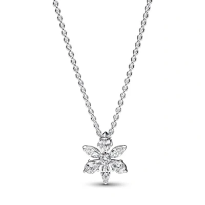 Immagine di Pandora Timeless Collana Argento 392387C01 45