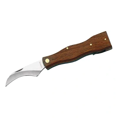 Immagine di Herbertz Coltello per Funghi, antiruggine, Manico in Legno, con Spazzola, Unisex, Marrone, M