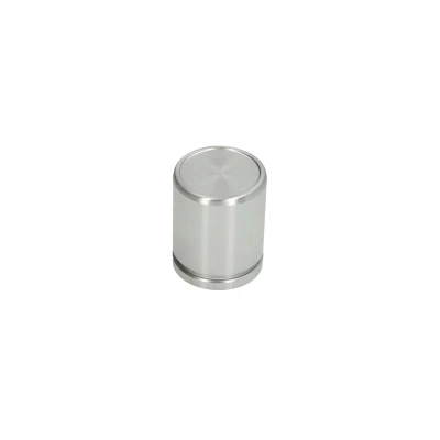 Immagine di AUTOFREN SEINSA D025702 Pistone, Pinza freno 40 Assale anteriore BENDIX