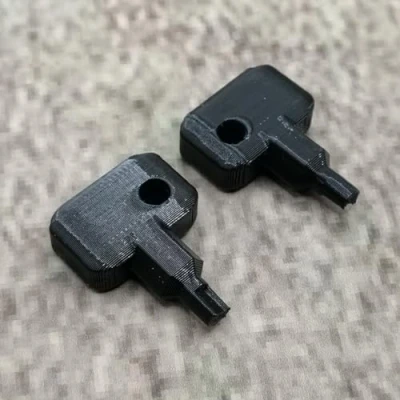 Immagine di ULEIVA 2 chiavi di ricambio nere compatibili con Synology NAS Drive Bay Key Lock chiave per tipo D5 D6 D8 D9 R6 X9 R8 DS181 (nero)