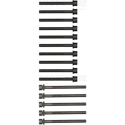 Immagine di REINZ 14 32200 01 Kit Bulloni Testata Poligonale incassata VOLKSWAGEN: Passat B5 GP Variant