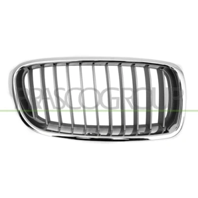 Immagine di PRASCO BM0282033 Griglia Radiatore Dx argento BMW: 3 Touring, Sedan