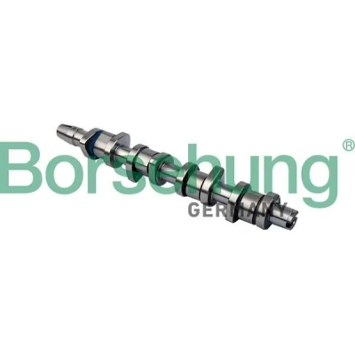 Immagine di Borsehung B11323 Albero a Camme AUDI: A4 B7 Avant, B6 Avant