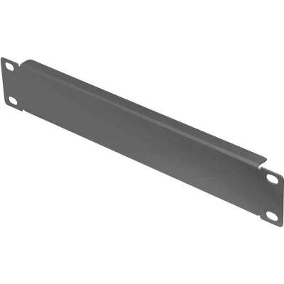 Immagine di Digitus DN 10 BPN 01 B pollici Pannello cieco per armadio rack Installazione fissa Adatto profondità armadio: da 300 mm Nero, Nero (RAL 9005)