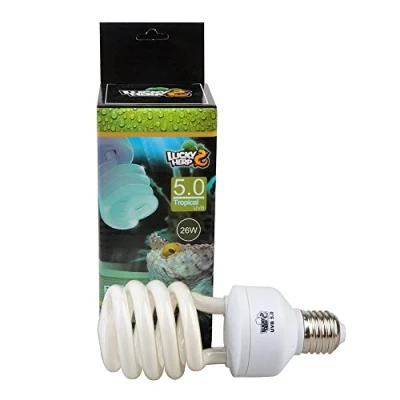 Immagine di Lampadina compatta e fluorescente per rettili, 5.0 UVA, UVB, da 13 W