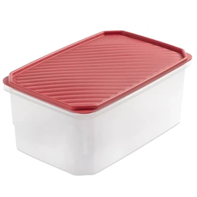 Immagine di TATAY Contenitore per Alimenti, Ermetico, Capacità 4.7L, Coperchio a scatto flessibile, senza BPA, Adatto al microonde e alla lavastoviglie, Rosso mirtillo. Dimensione: 28,5 x 18,5 12,2 cm
