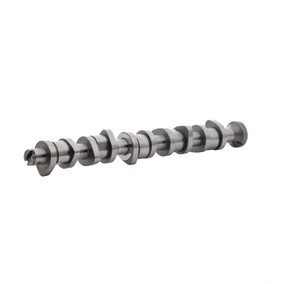 Immagine di INA 428 0151 10 Albero a Camme VOLKSWAGEN: Multivan 5 (7HM, Touareg I, Transporter