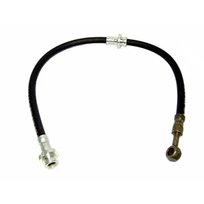 Immagine di DELPHI LH6211 Tubi Freno 565 M10x1 Int SF