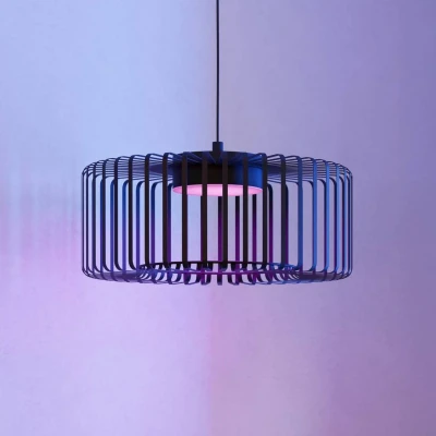 Immagine di EGLO connect Lampada LED a sospensione Ginestrone Z, 1 luce, nero