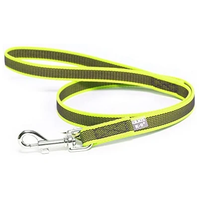 Immagine di Julius K9, Guinzaglio Color &amp; Gray con manico, 20 mm x 2 m, neon