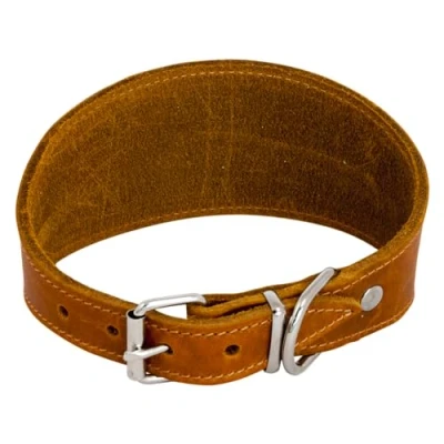 Immagine di JACK AND VANILLA, Collare per levriero cani, modello pelle grassa, colore cognac, misura 48 cm