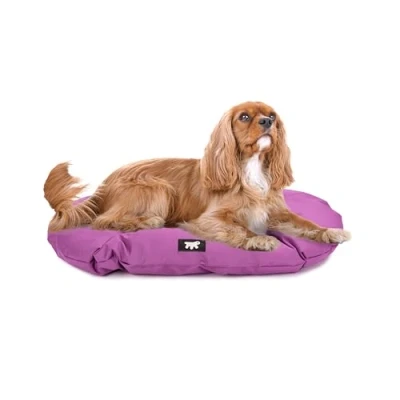 Immagine di Ferplast Cuccia Cane Cuscino Taglia Media Tessuto Antigraffio Lavabile in Lavatrice a 30 Materassino Impermeabile 65 x 42 3 cm. Viola