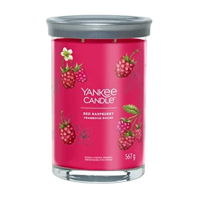 Immagine di Yankee Candle Large Tumbler with 2 wicks Red Raspberry 15 cm / ø 10